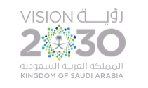 Saudi Vision 2030
